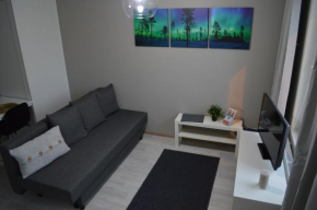 Aurora Haven Rovaniemi Modern DT Apartment -Self Check-In & Free Wifi- Rovaniemi